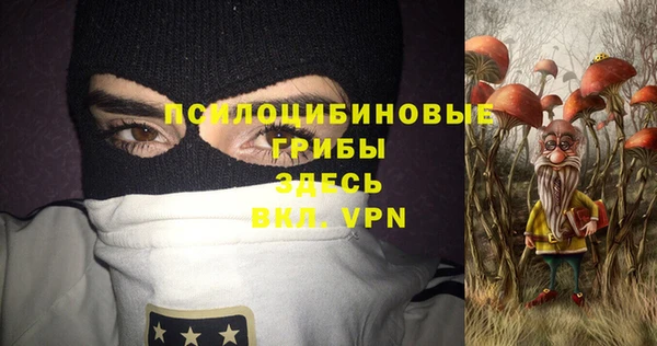 дурь Кодинск