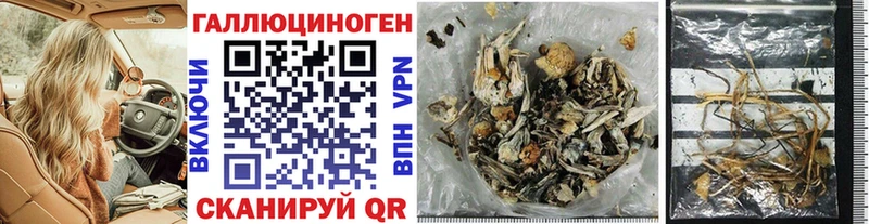 Галлюциногенные грибы Psilocybe  цены наркотик  Кропоткин 
