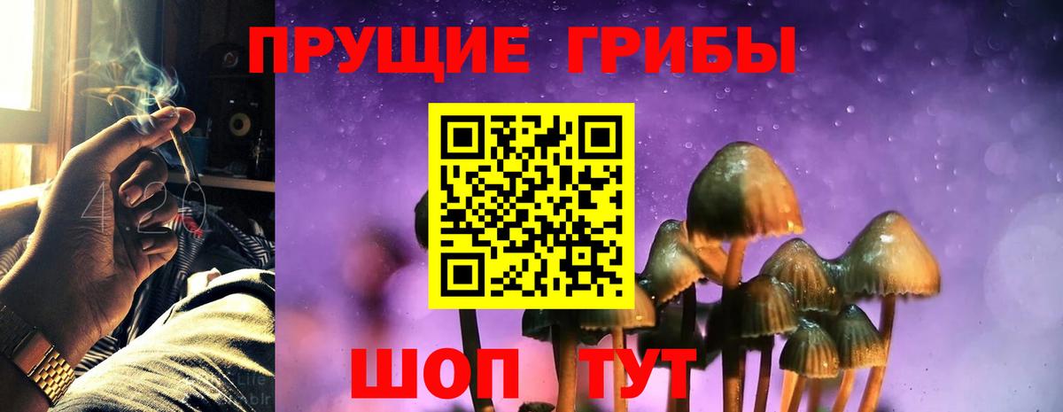Галлюциногенные грибы мицелий Кропоткин